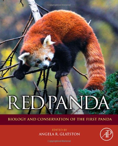 Red Panda