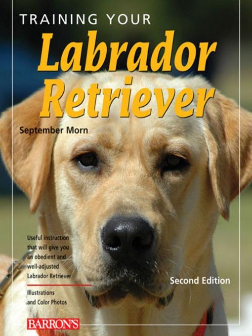 Training Your Labrador Retriever