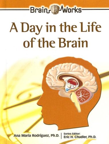 A day in the life of the brain