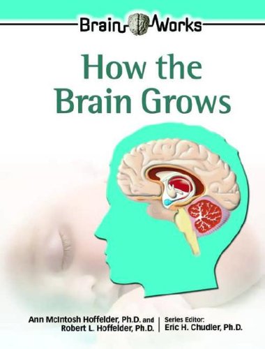 How the brain grows