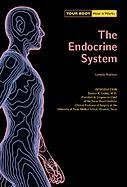 The endocrine system