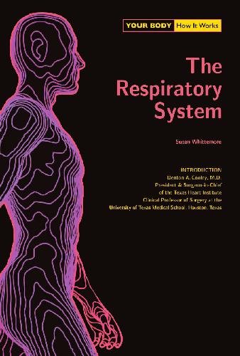 The respiratory system