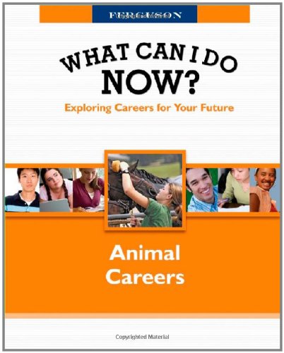 What can I do now?. Animal careers.