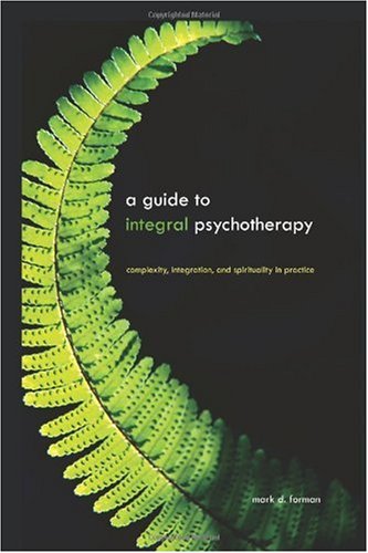 Guide to Integral Psychotherapy