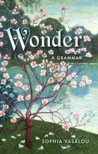 Wonder : a grammar