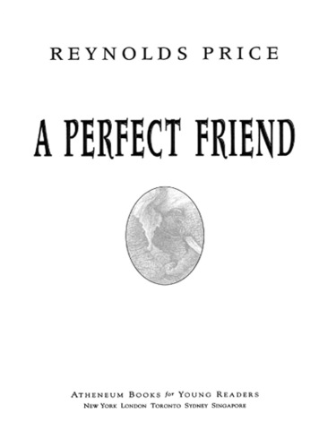 A Perfect Friend