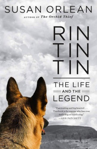 Rin Tin Tin