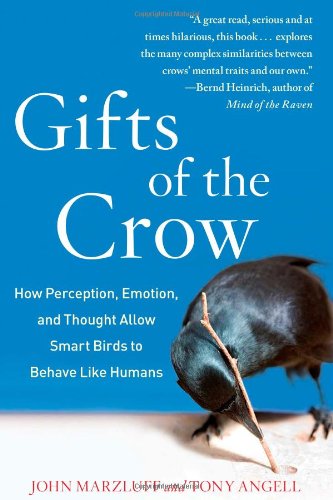 Gifts of the Crow