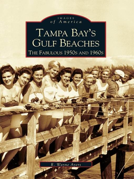 Tampa Bay's Gulf Beaches