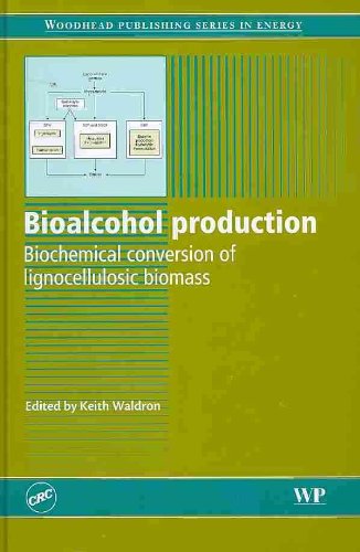 Bioalcohol Production