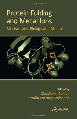 Protein Folding and Metal Ions