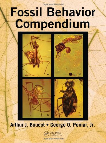 Fossil Behavior Compendium