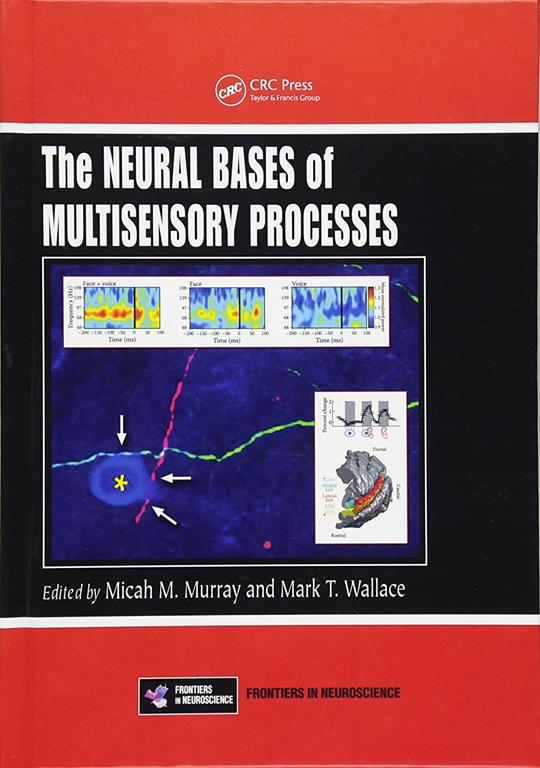 The Neural Bases Of Multisensory Processes (Frontiers In Neuroscience)