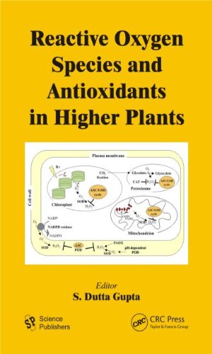 Reactive oxygen species and antioxidants in higher plants