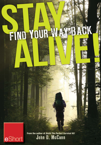 Stay Alive - Find Your Way Back Eshort