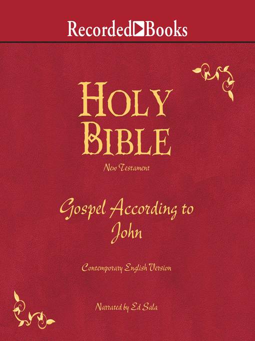 Holy Bible Gospel According to John Volume 25