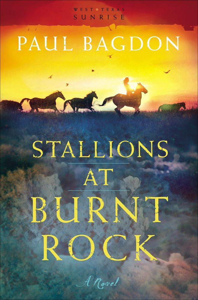 Stallions at Burnt Rock