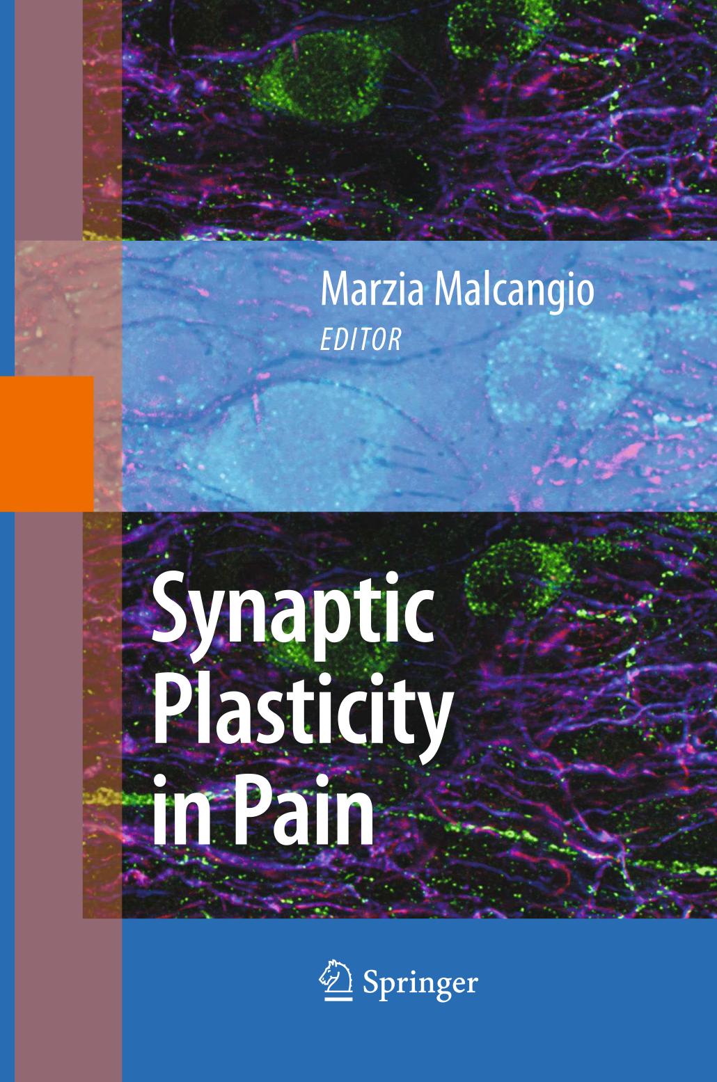 Synaptic Plasticity in Pain