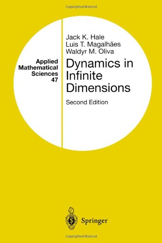 Dynamics in Infinite Dimensions