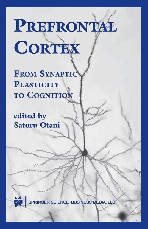 Prefrontal Cortex: From Synaptic Plasticity to Cognition