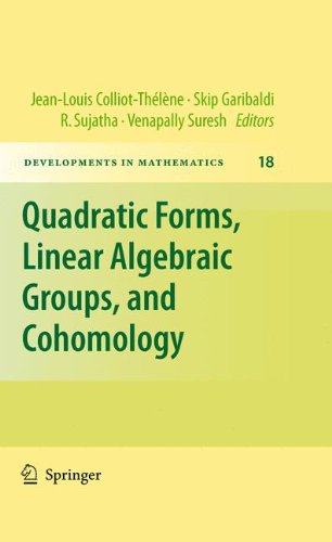 Quadratic Forms, Linear Algebraic Groups, and Cohomology (Developments in Mathematics) (English and French Edition)