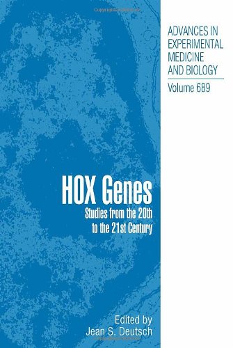 Hox Genes