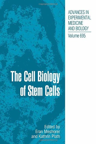 The Cell Biology of Stem Cells