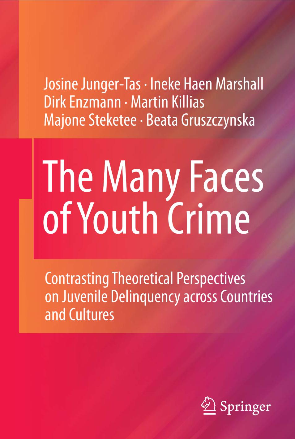 The Many Faces of Youth Crime