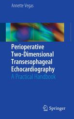 Perioperative Twodimensional Transesophageal Echocardiography