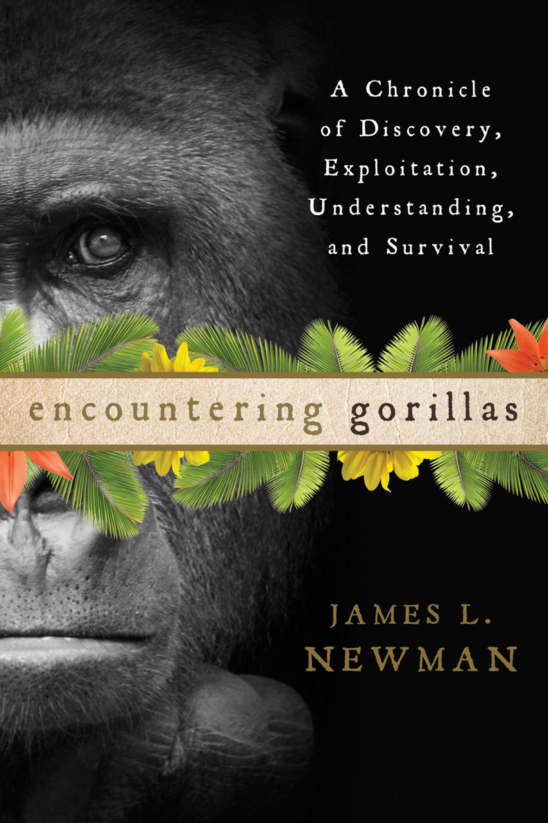 Encountering Gorillas