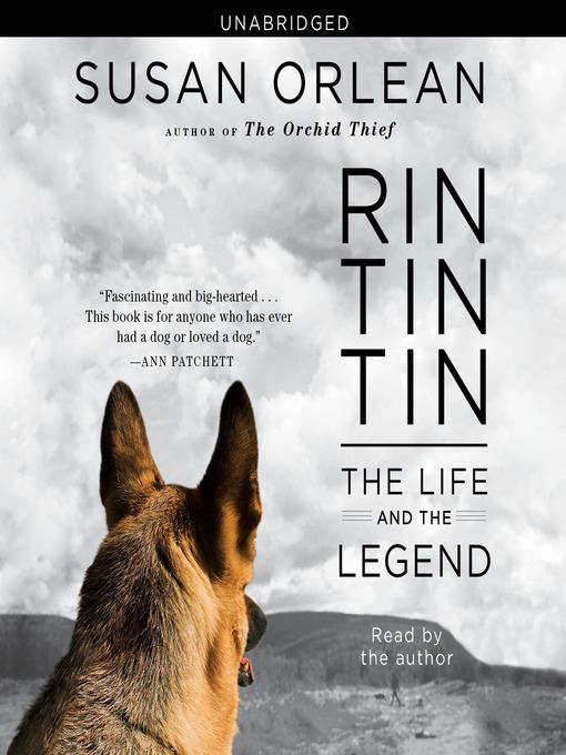 Rin Tin Tin