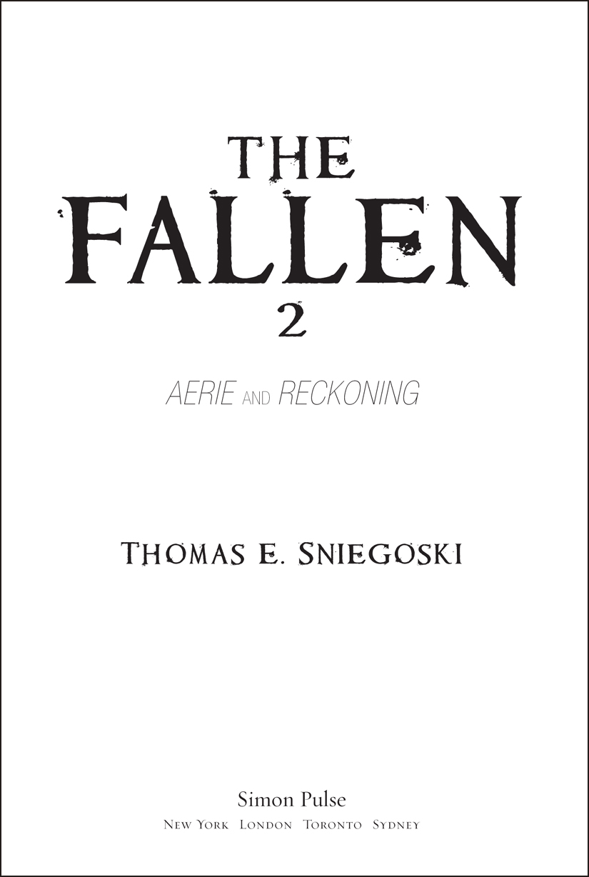 The Fallen 2