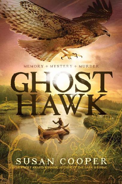 Ghost Hawk