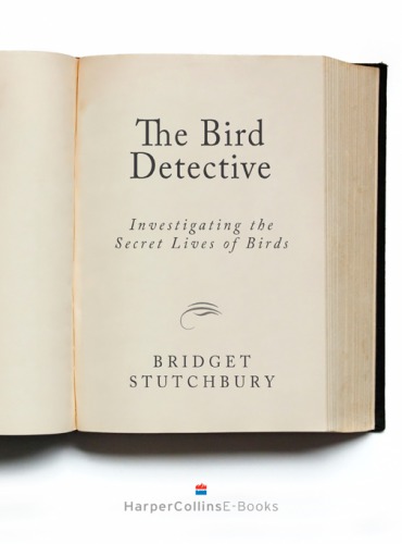 Bird Detective