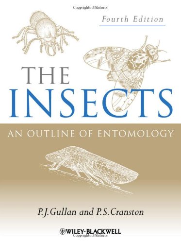 The Insects