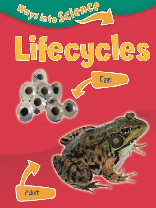 Lifecycles