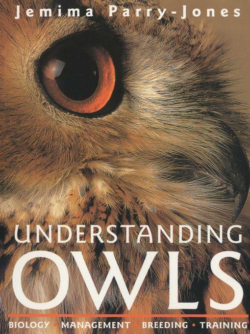 Understanding Owls