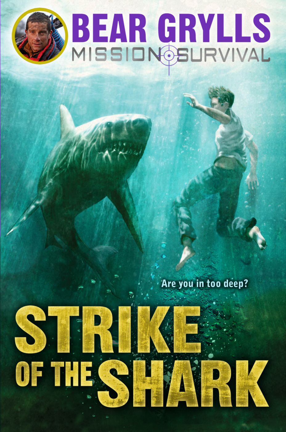 Strike of the Shark