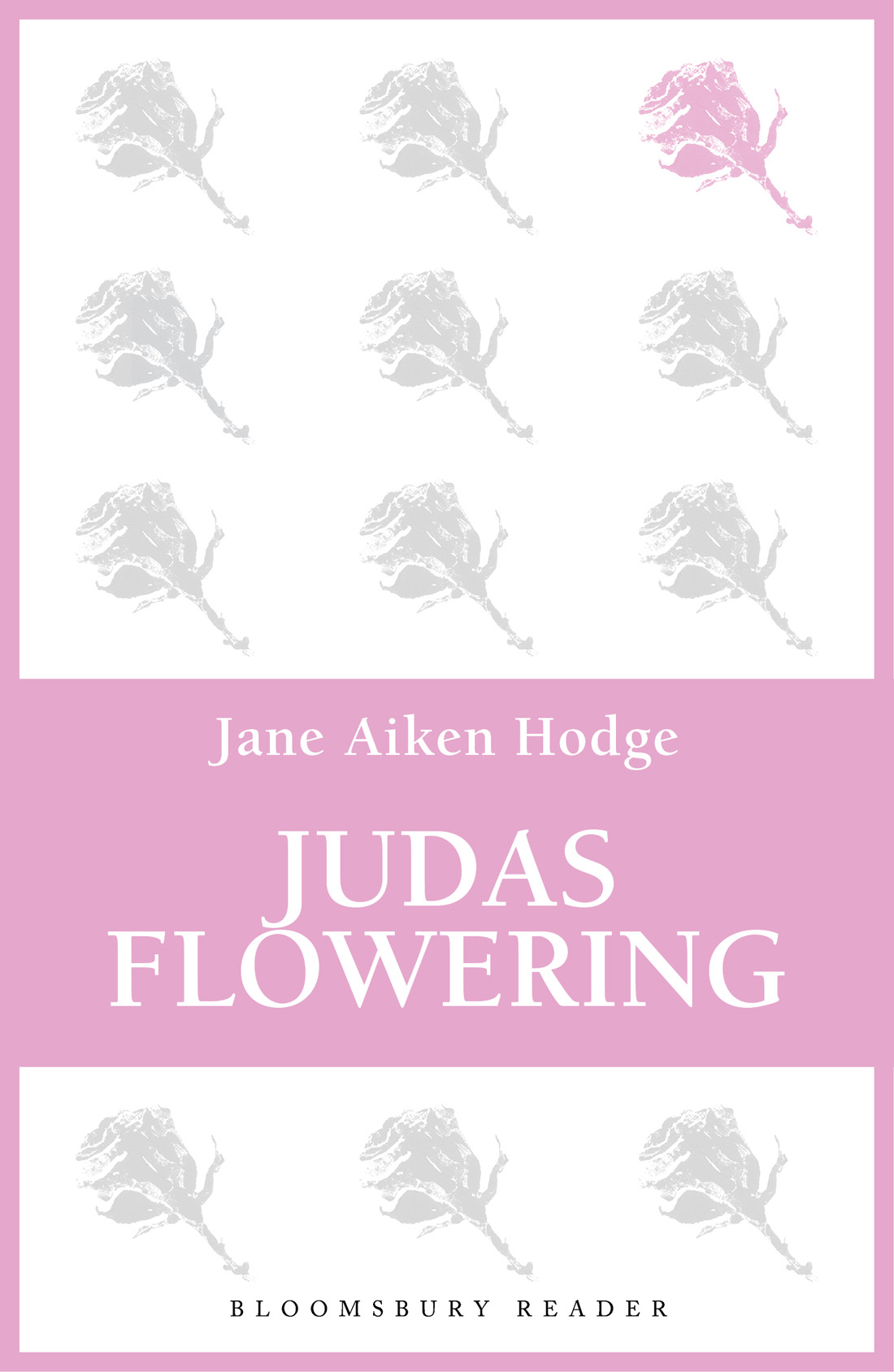 Judas Flowering