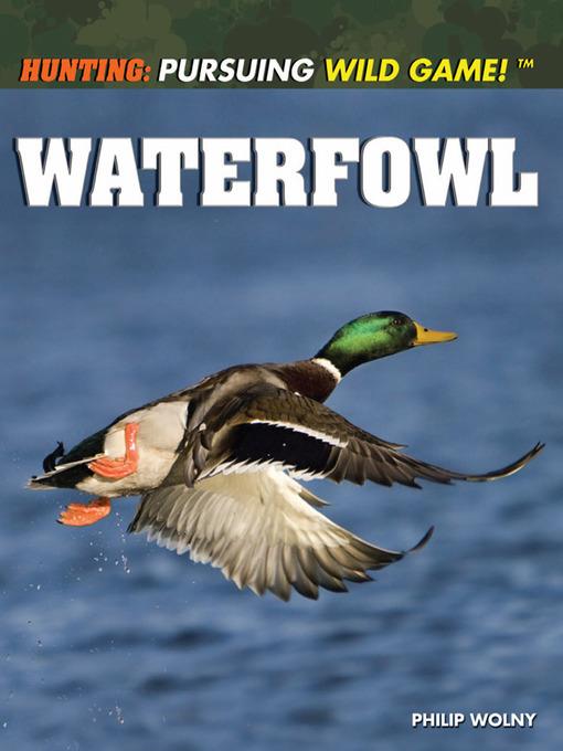 Waterfowl