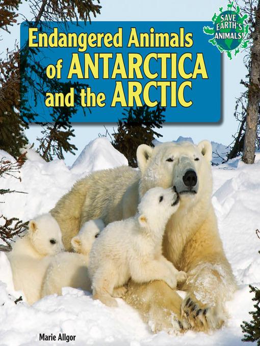 Endangered Animals of Antarctica and the Arctic