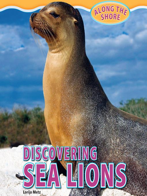 Discovering Sea Lions