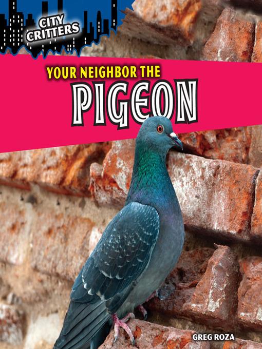 Your Neighbor the Pigeon