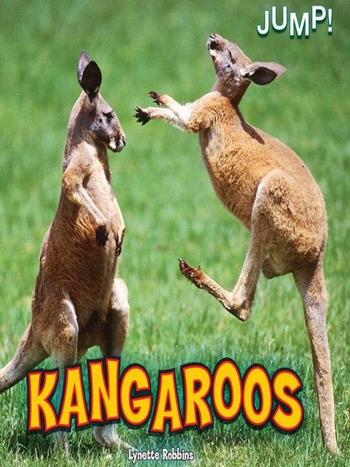 Kangaroos