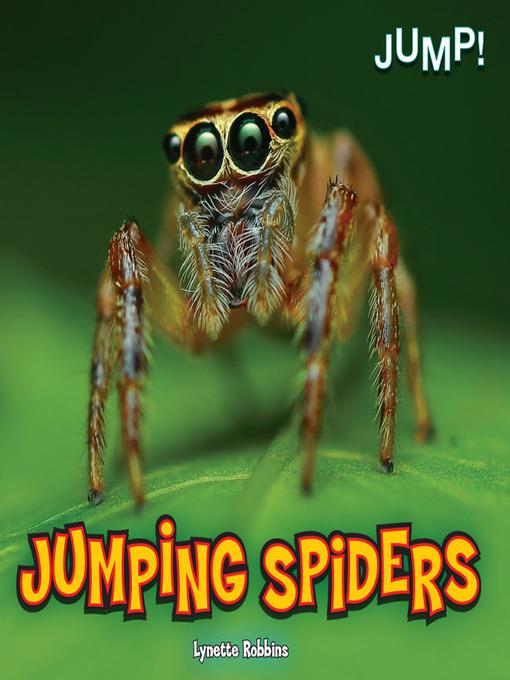 Jumping Spiders