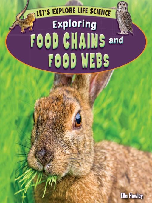 Exploring Food Chains and Food Webs