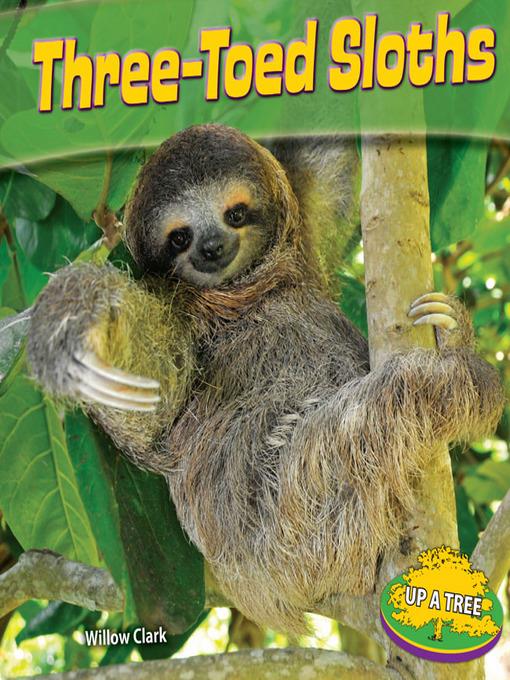 Three-Toed Sloths