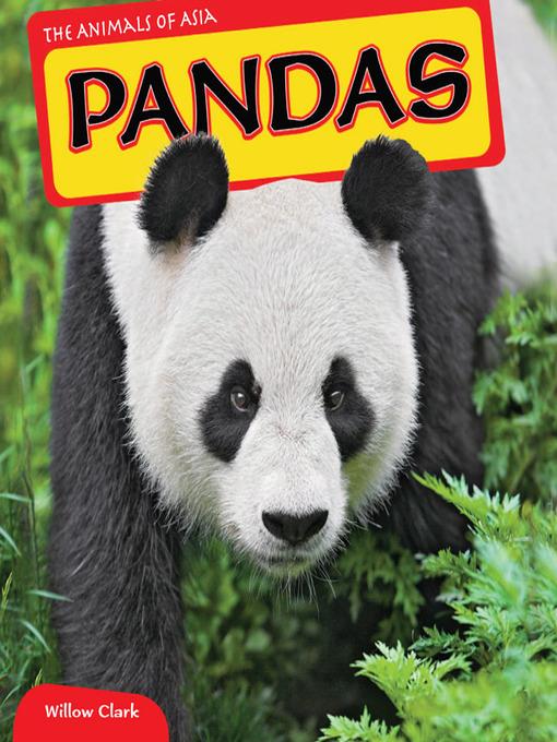 Pandas