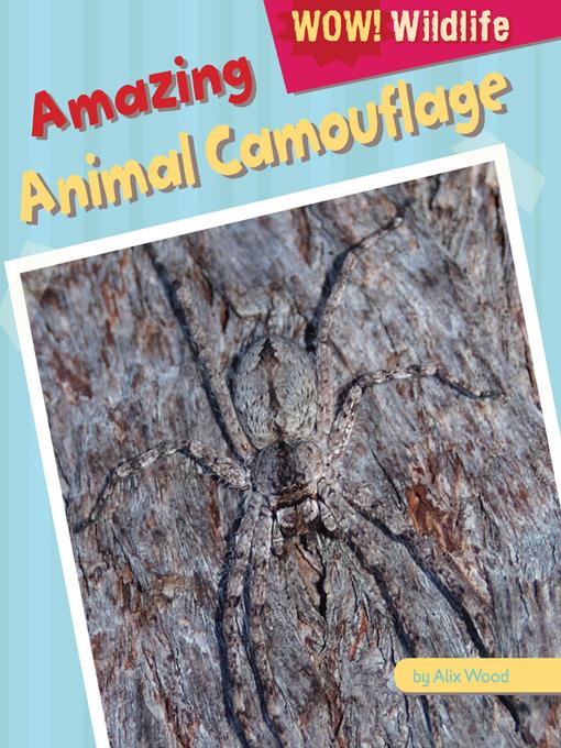 Amazing Animal Camouflage