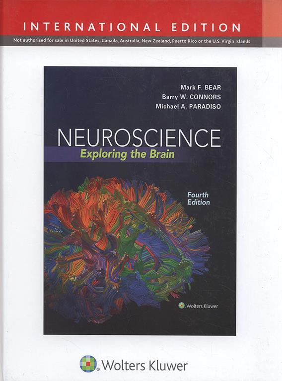 Neuroscience: International Edition: International Edition